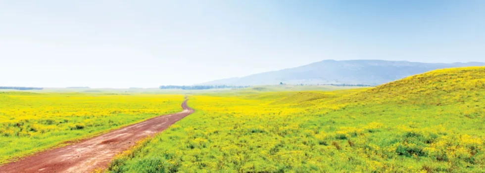 Waimea pasture bike tour hawaii