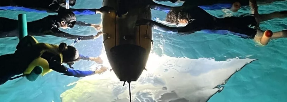 Hilton waikoloa manta night snorkel