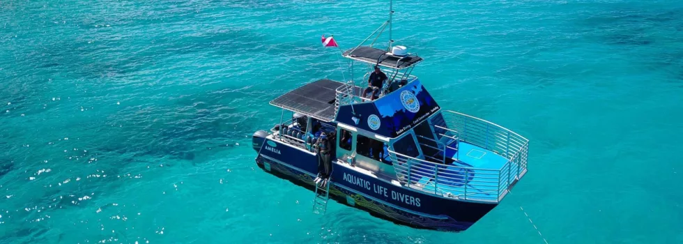 Remote beach boat tour kona