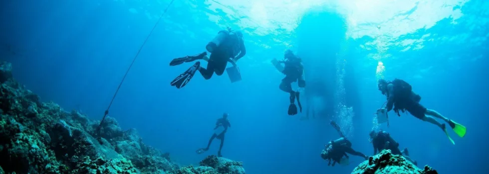 Scuba dive today kona