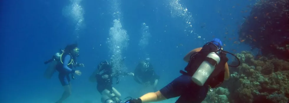 Scuba diving kailua kona