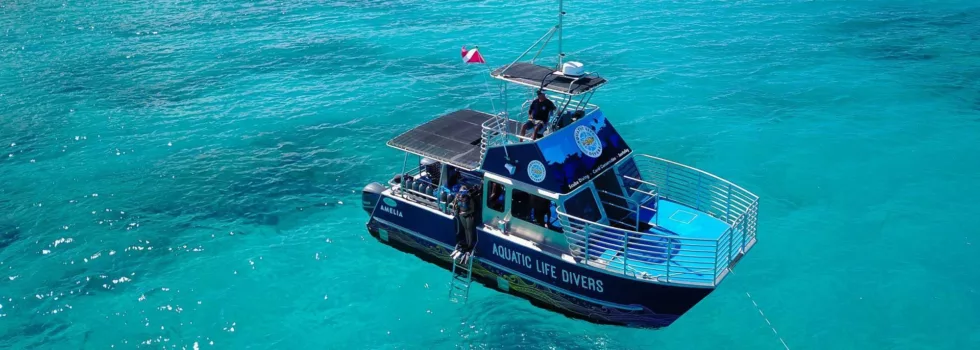 Remote beach boat tour kona
