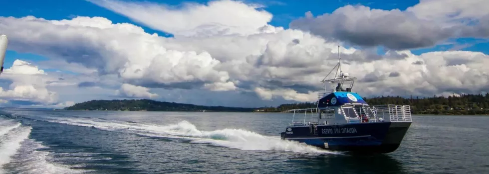 Snorkel boat kailua kona