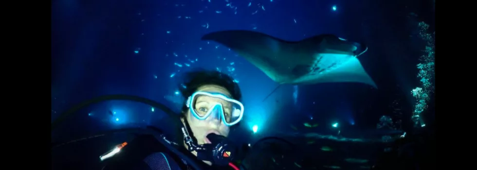 Manta night snorkel and scuba