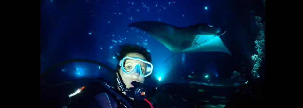 Scuba and snorkel manta kona