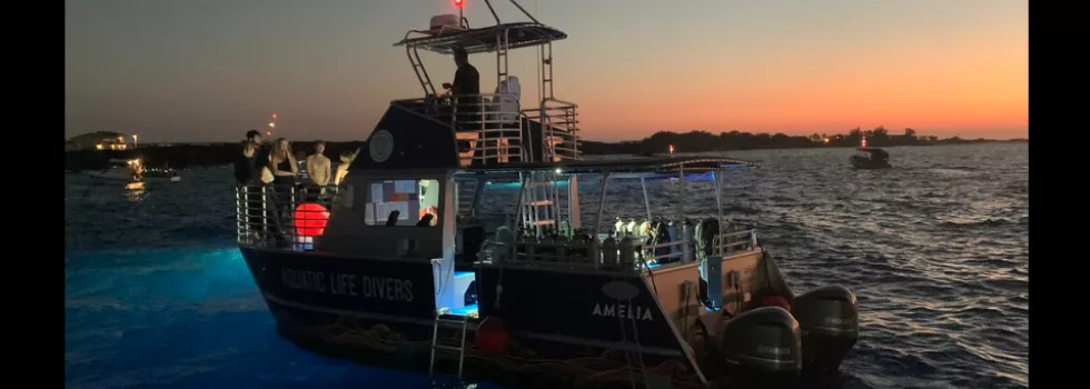 Sunset manta snorkel