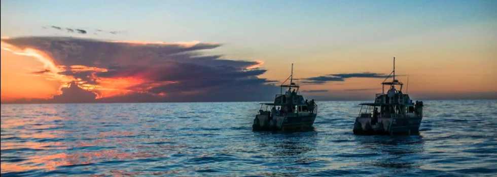 Best sunset snorkel manta kona