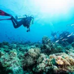 Scuba instructor kona