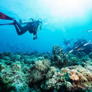 Two Tank Kona Scuba Dive