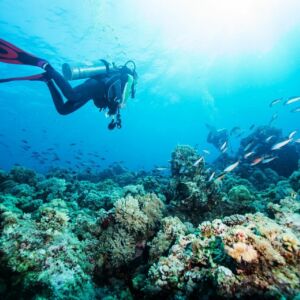 Two Tank Kona Scuba Dive