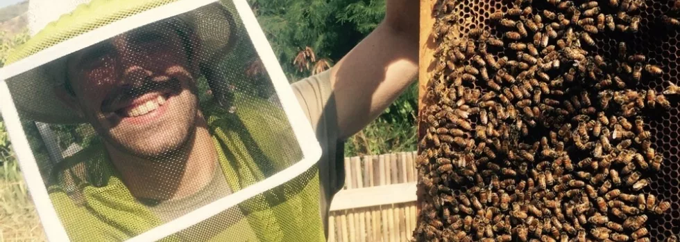 Visit honey farm bee hawaii