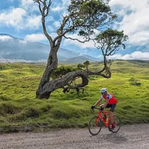 Mana Road E-Mountain Bike Tour