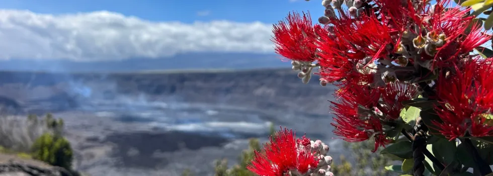 Bike tour volcano views