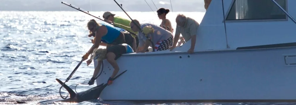 Marlin fishing kona