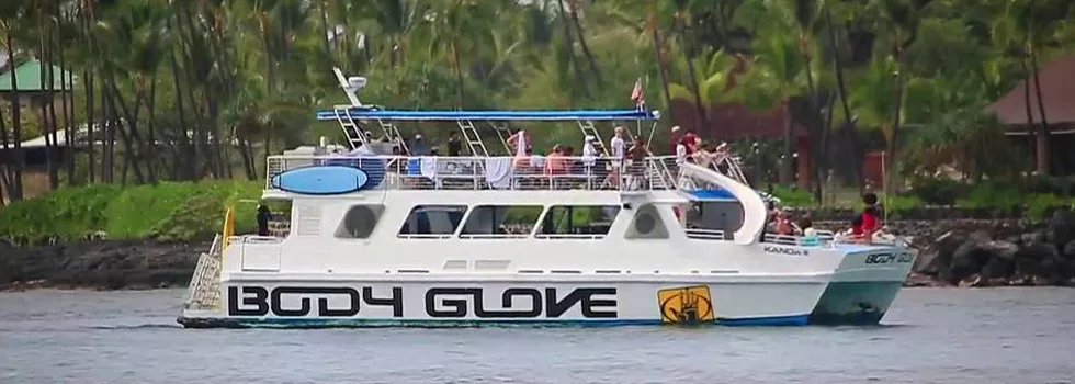 Snorkel Dolpin Tour Kona