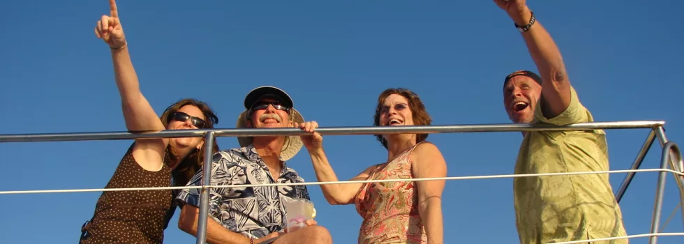 Whale watch cruise hawaii