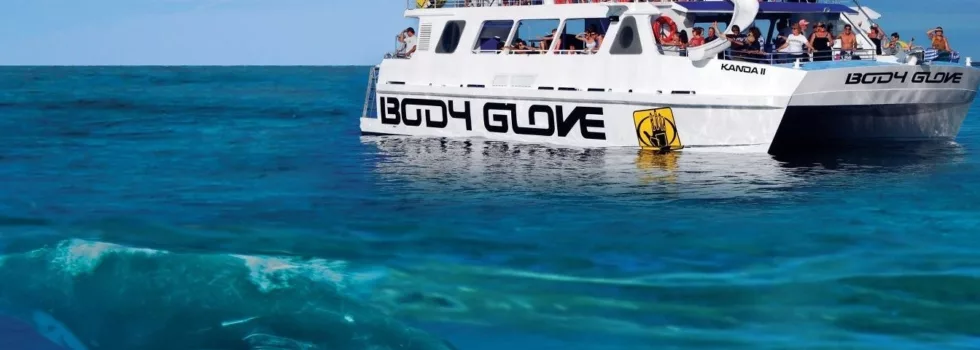 What watching boat hawaii