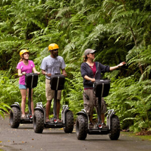 Segway Tour in the Botanical Garden