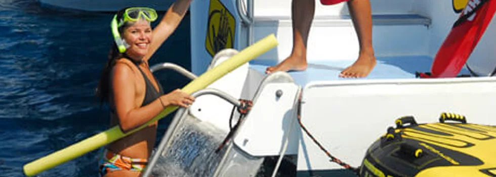 Boat Tour Step Ladder