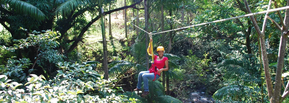 Zipline through jungle hawaii