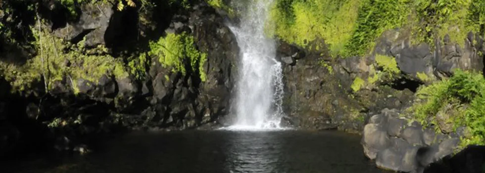 Waterfall Tour Hawaii Big Island