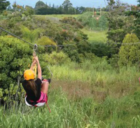 Zip Line over Botanical Garden Waterfall photo 2