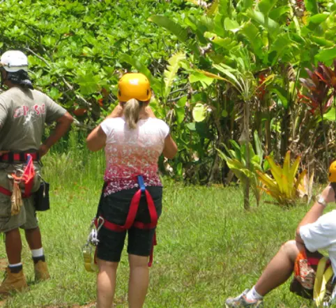 Zip Line over Botanical Garden Waterfall photo 4