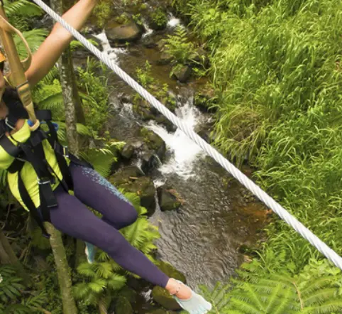 Zip Line over Botanical Garden Waterfall photo 5