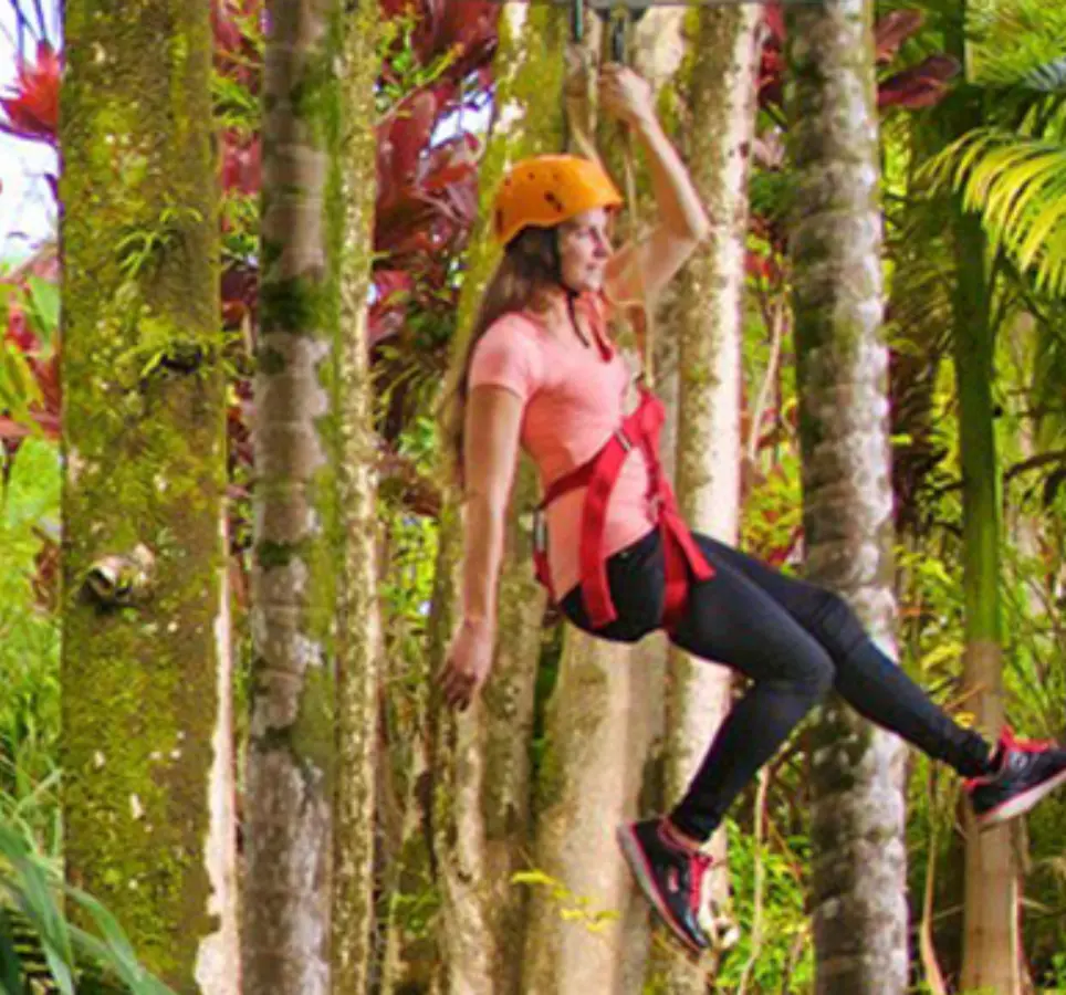 Zip Line over Botanical Garden Waterfall