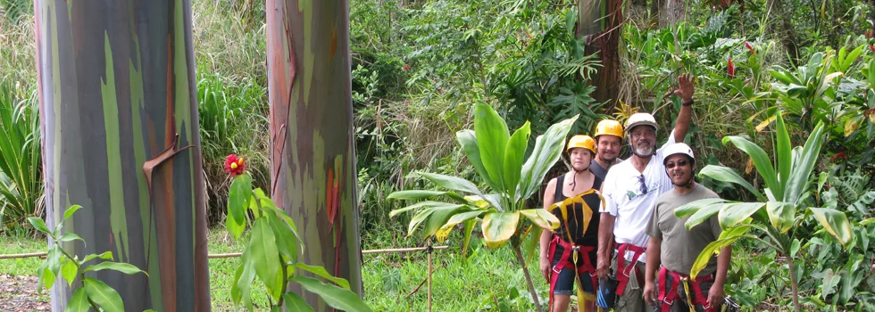 Zipline Tour Big Island Hawaii