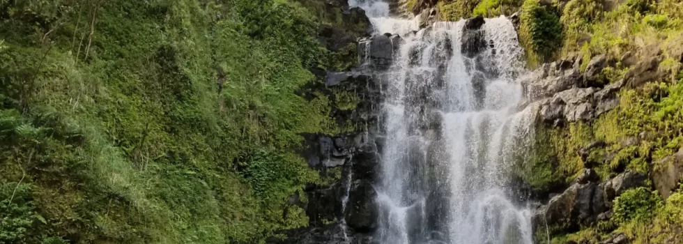 Kamaee Falls in Hakalau HI
