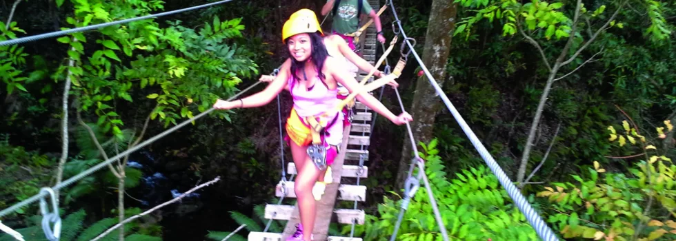 Suspension bridge cross zipline hakalau