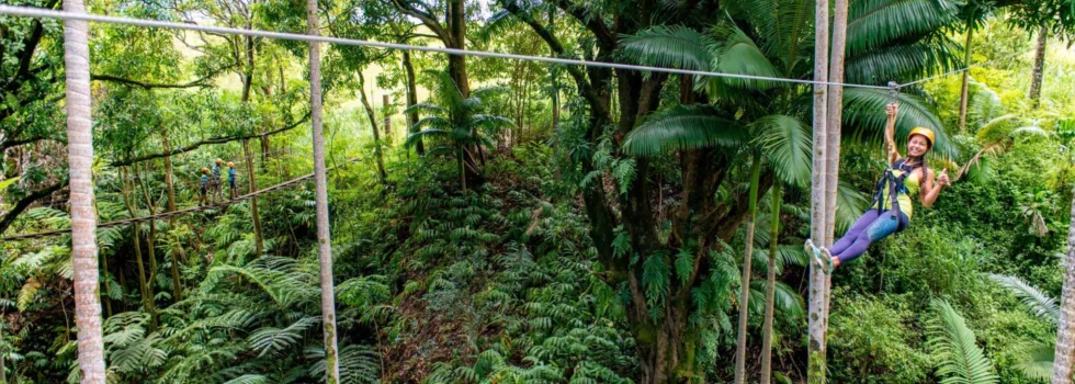 Jungle zipline hawaii