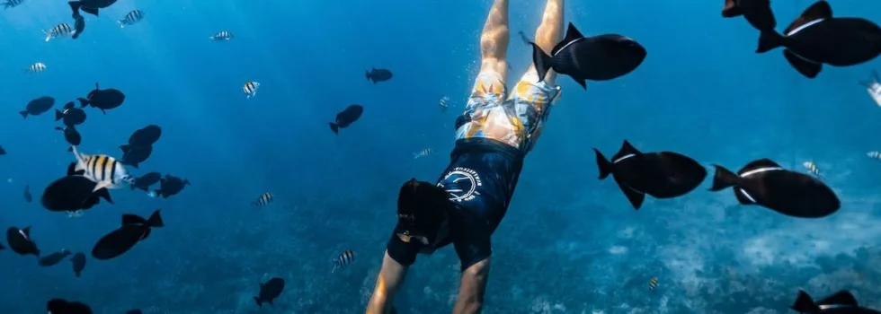 Best snorkeling on big island