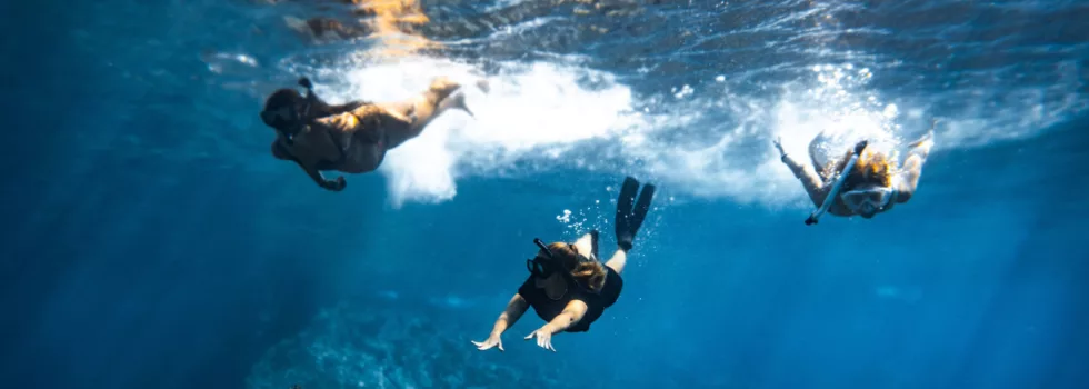Kealakekua snorkeling best way