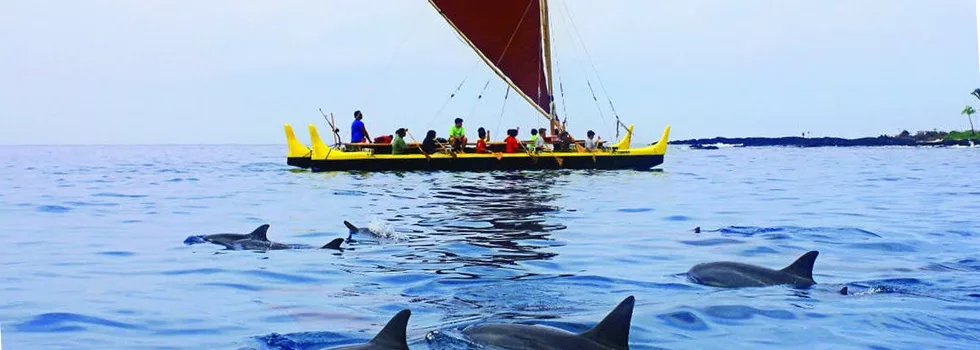 Dolphin sailing charter kona