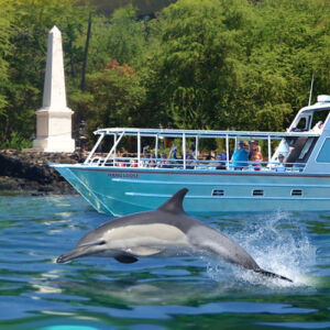 Kealakekua Bay Snorkel Boat