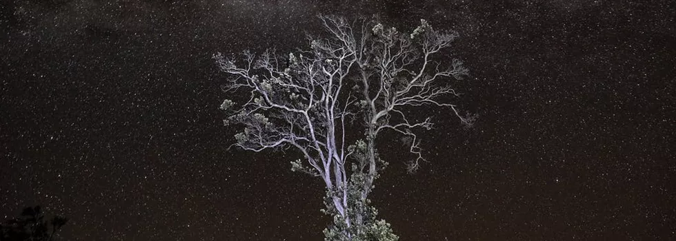 Volcano photography tour