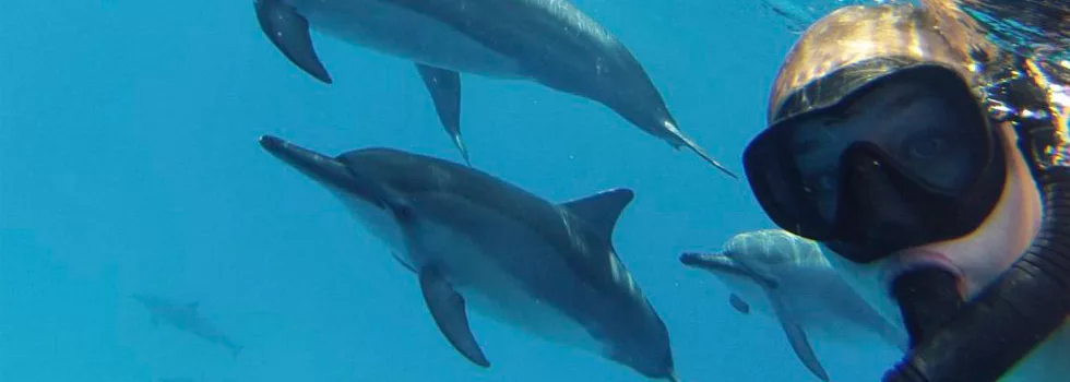 Private Boat Charter Kona