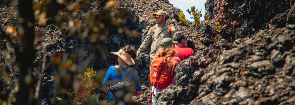 Volcano tour on mauna ulu trail