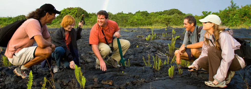 Lava volcano tour hawaii