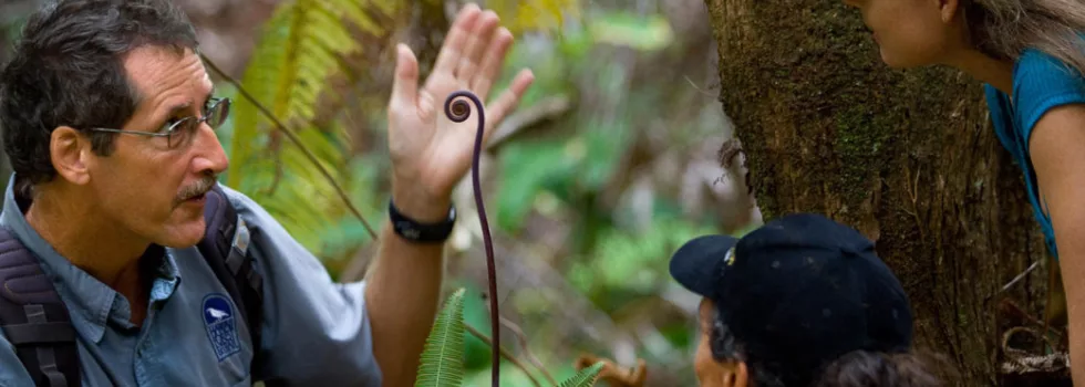 Eco forest tour hawaii