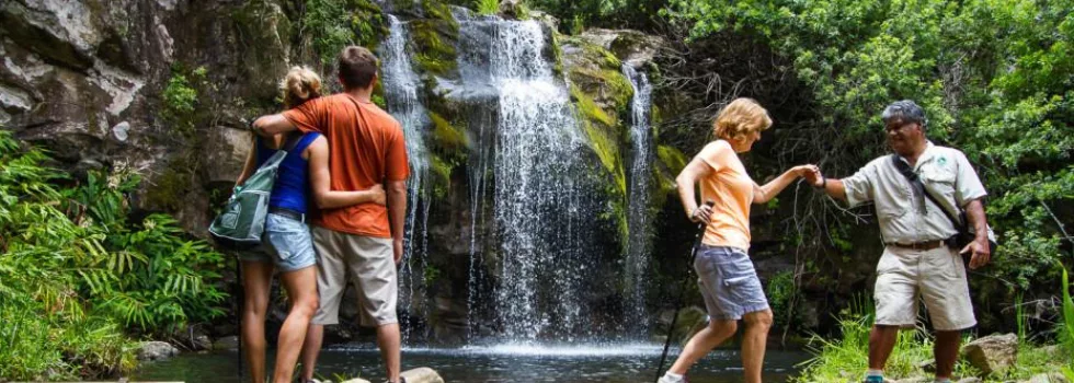 Waterfall hike near kona