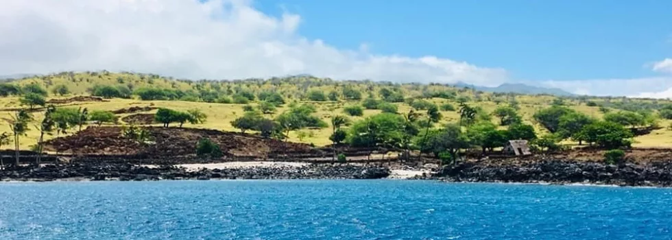 Kohala coast sunset sailing catamaran