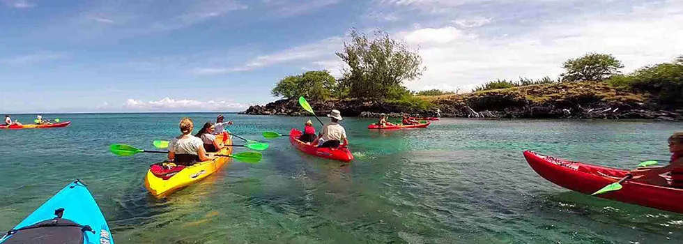 Kayak Tour Close To Kona