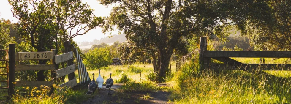 Walk farm tour hawaii