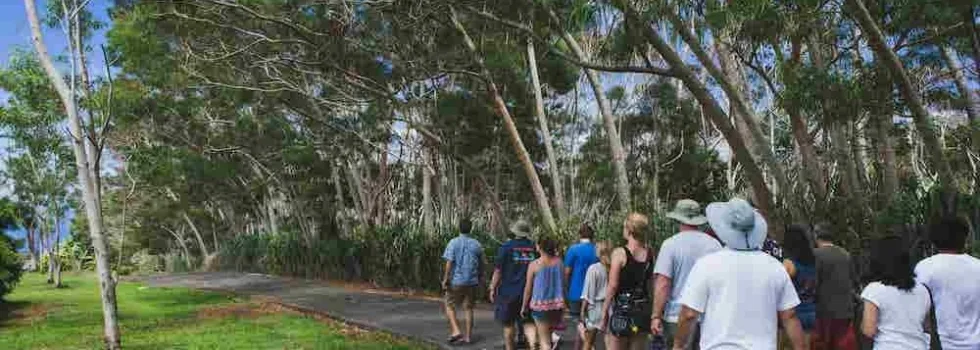 Vanilla farm tour big island hawaii