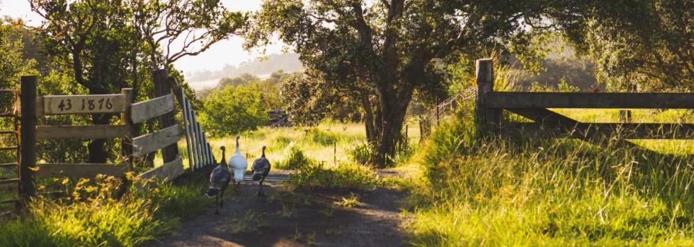 Walk farm tour hawaii