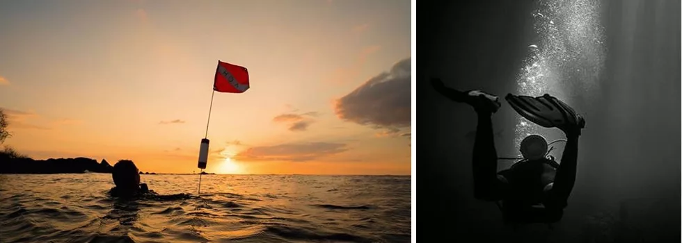 Night Scuba Hawaii Hilo