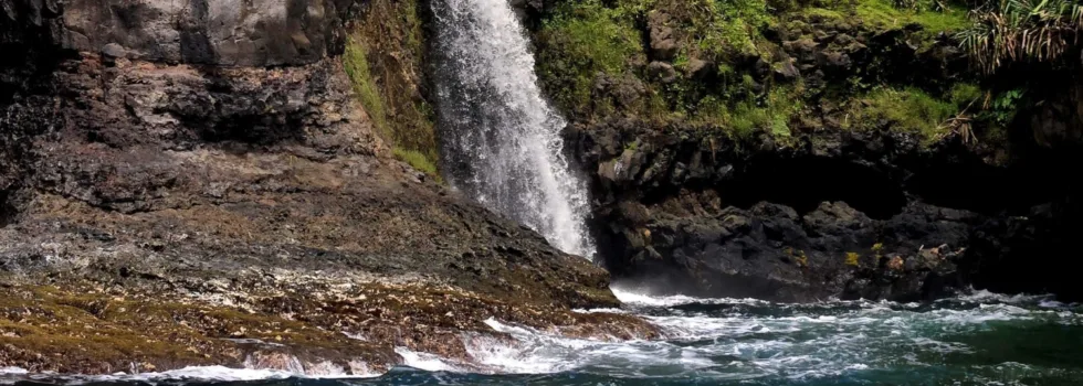 Onomea waterfall tour